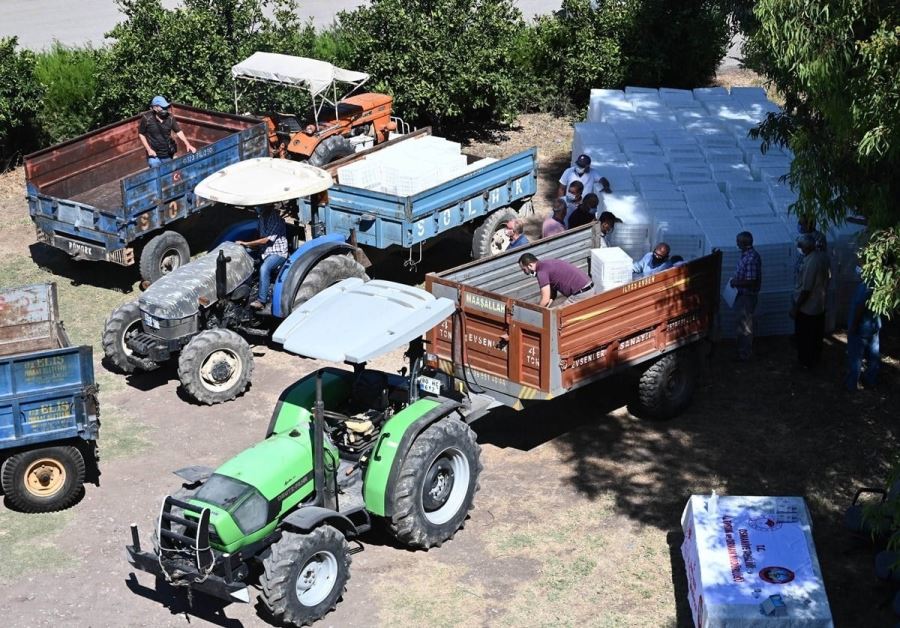 4000 Adet Plastik Zeytin Kasası Dağıtıldı