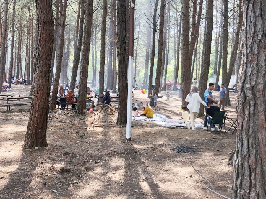 Kurban Bayramı sonrası ormanlar piknikçilerle doldu   