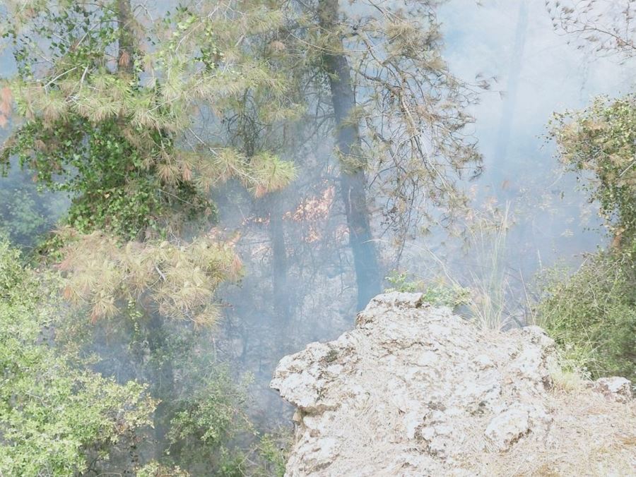 Orman yangını 1 saatlik müdahale ile söndürüldü