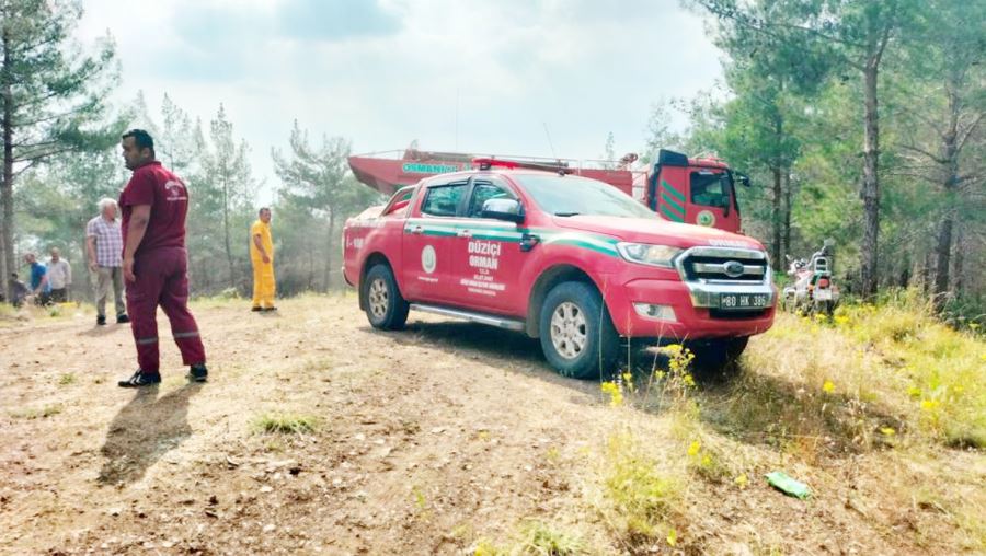 Yangın, 65 personelle müdahale edildi 