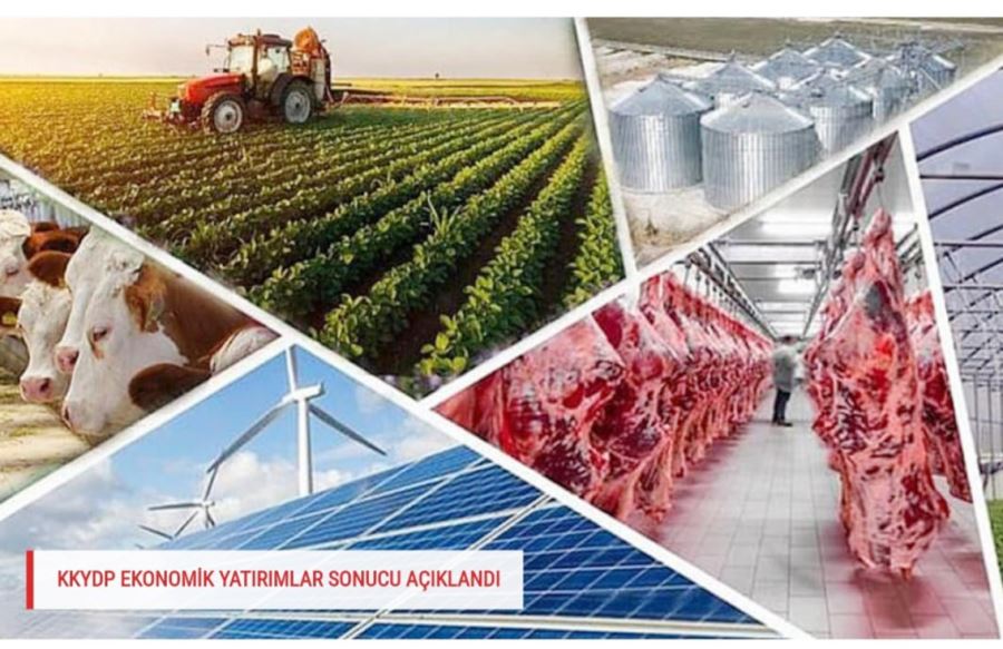 Projenin yatırım bedeli 31 milyon 998 bin 297 lira olacak 