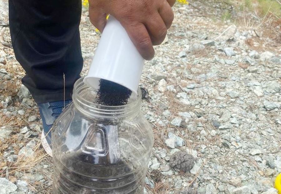 Zararlı böceklerle mücadele devam ediyor