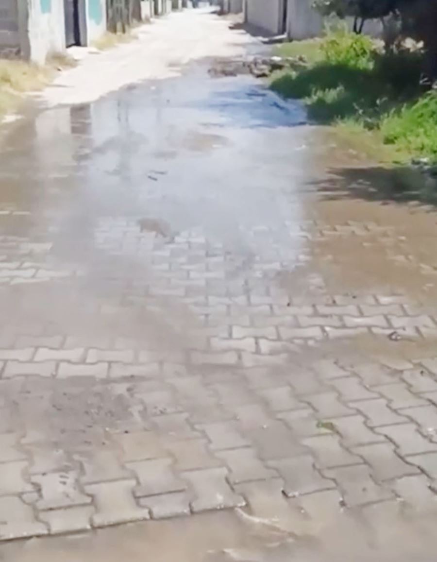 Mevlana Mahallesinde içme suyu bir haftadır boşa akıyor
