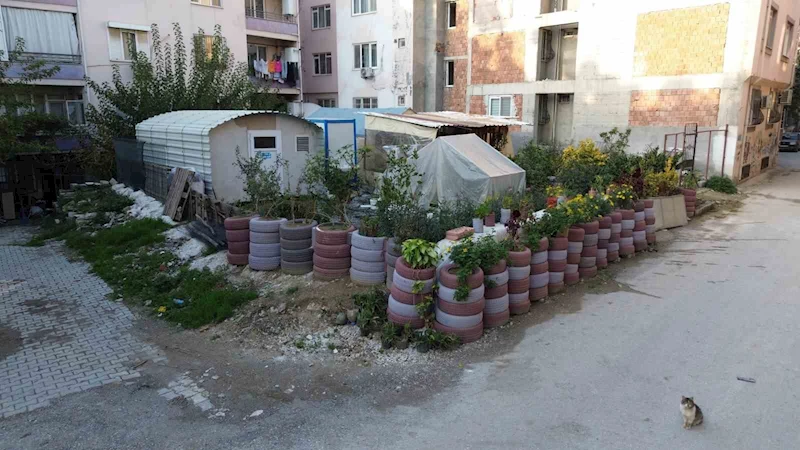 Sinekler üremesin diye topladığı araç lastiklerinden çiçek bahçesi yaptı
