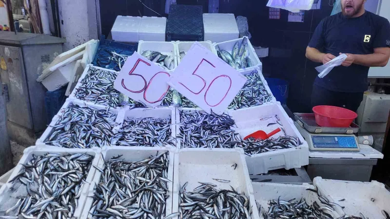 Karadeniz hamsisi tezgahları doldurdu: Kilosu 50 lira
