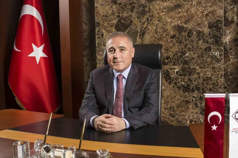 Şimşek: 