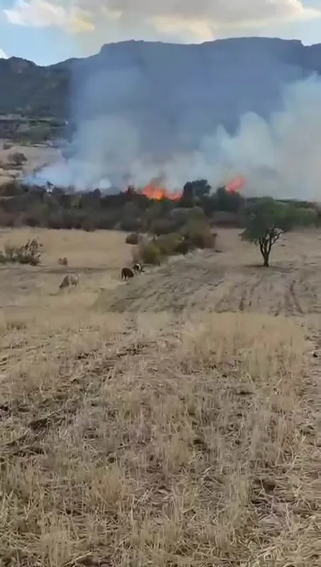 Diyarbakır’da otluk yangını
