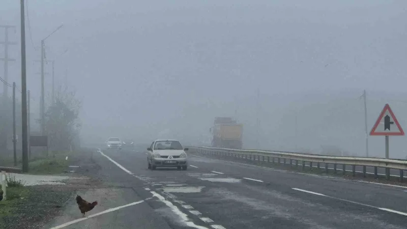 Tekirdağ-Muratlı karayolunda yoğun sis etkili oldu
