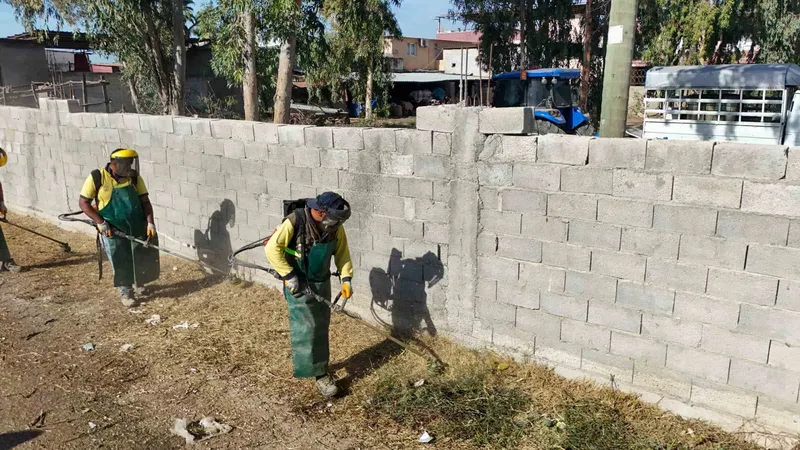 Tarsus’ta temizlik çalışmaları hız kesmeden sürüyor
