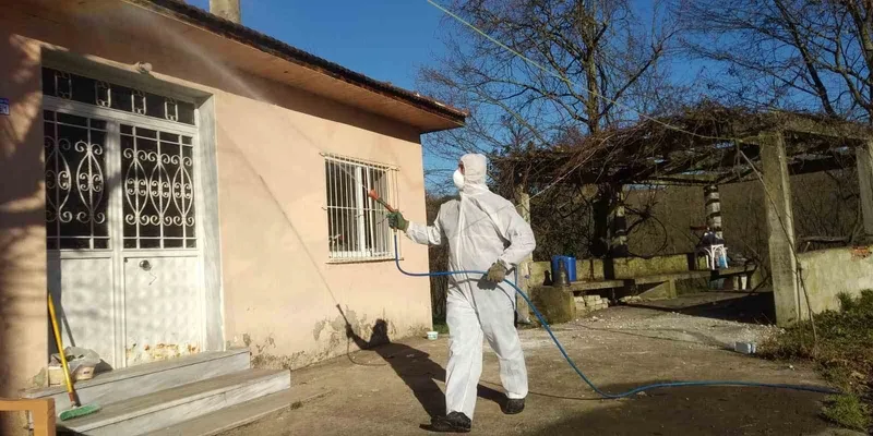 Tarım ve Orman İl Müdürlüğü’nden ‘Kahverengi Kokarca’ çağrısı
