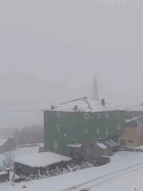 Giresun yaylaları beyaza büründü
