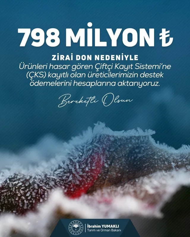 Zirai don nedeniyle ürünleri hasar gören çiftçilere 798 milyon lira destek ödemesi yapıldı
