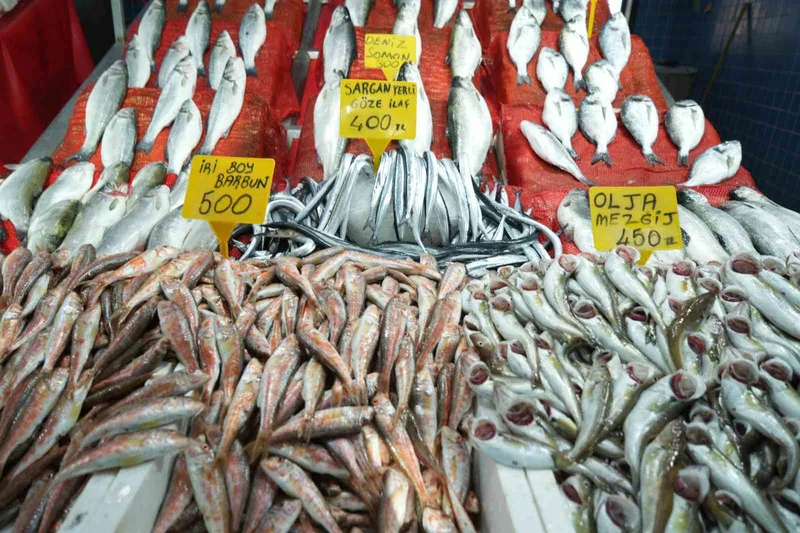 Samsun’da balık fiyatlarında son durum
