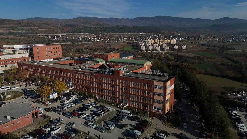 Bolu’da topladığı mantarları yiyen bir kişi zehirlendi
