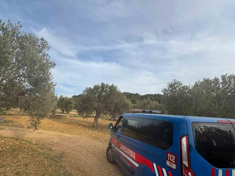 Aliağa’da zeytin hasadı başladı, güvenlik önlemleri artırıldı
