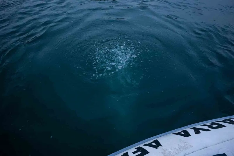 Sapanca Gölü’ndeki kabarcıkların verdiği endişe artıyor: 