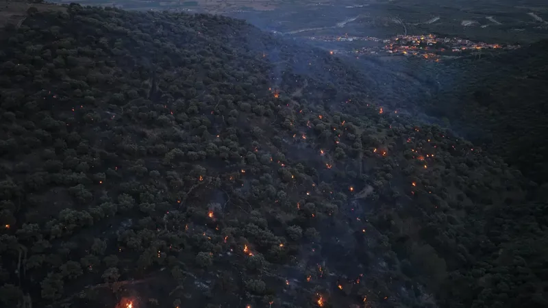 Bozdoğan yangını büyük ölçüde kontrol altına alındı
