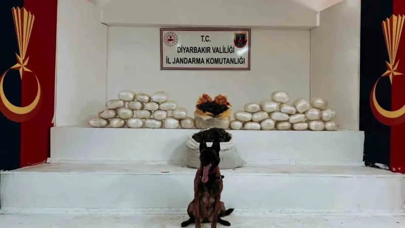 Diyarbakır’da 470 kilo skunk ve 85 kilo esrar ele geçirildi
