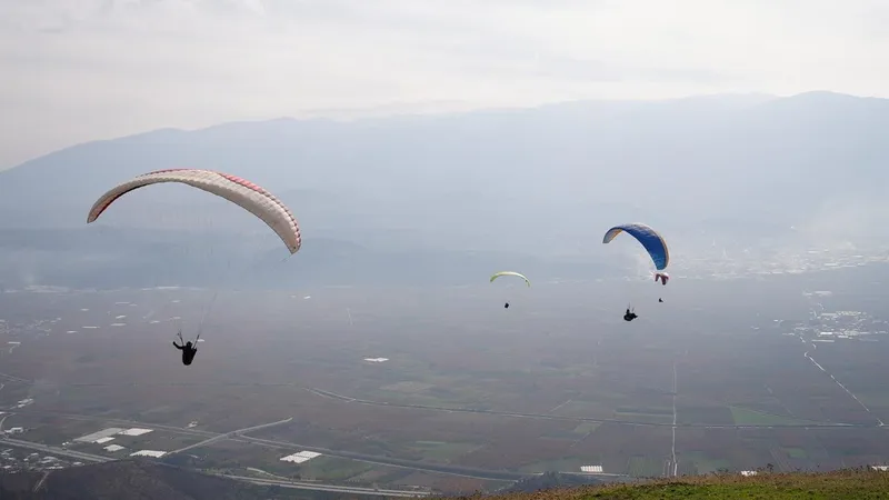 Yanan ormanlar için gökyüzünden paraşütle tohum yağdı
