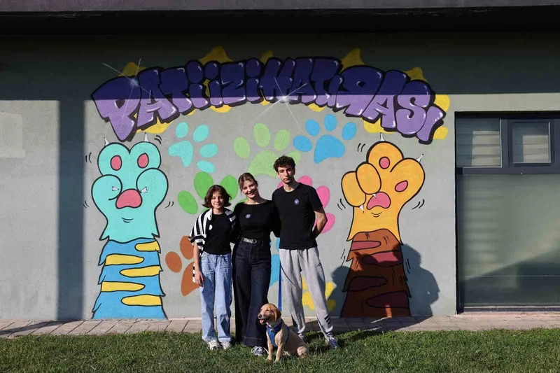 Sokaktan sıcacık yuvaya: ‘Pati İzi’nde 500 can dost yeni hayatına kavuştu
