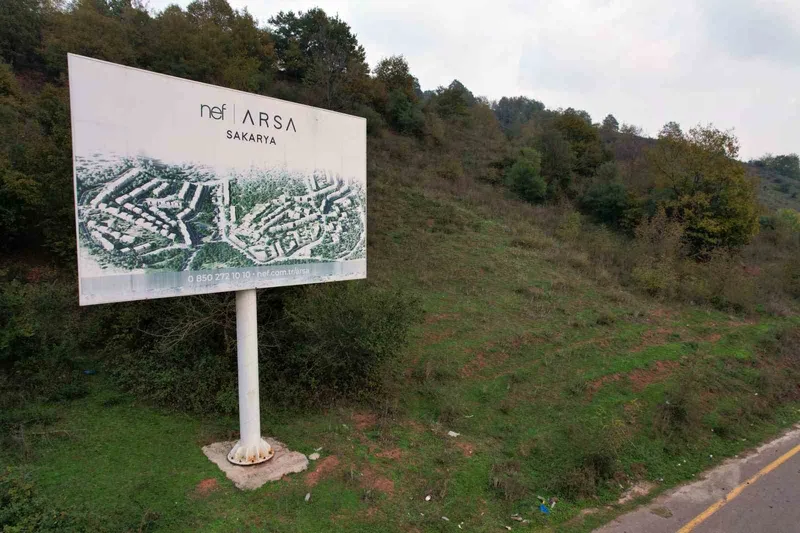 Ormana tabela asıp milyonlar topladılar
