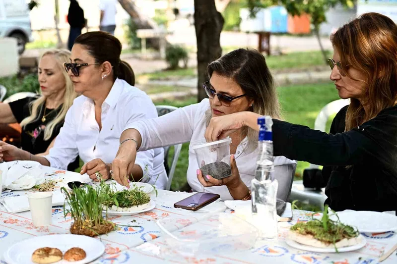 Mikro yeşilliklerle minyatür bahçeler oluşturdular
