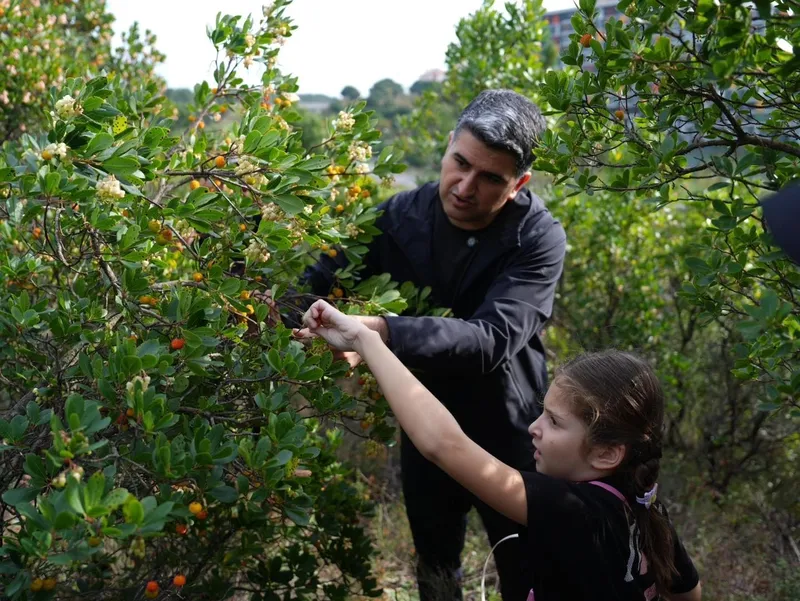 Ataşehir’de 438 metre yükseklikte çilek festivaline akın ettiler
