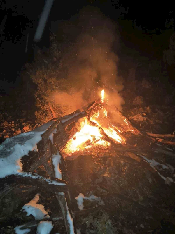 Feke’de çıkan orman yangını söndürüldü
