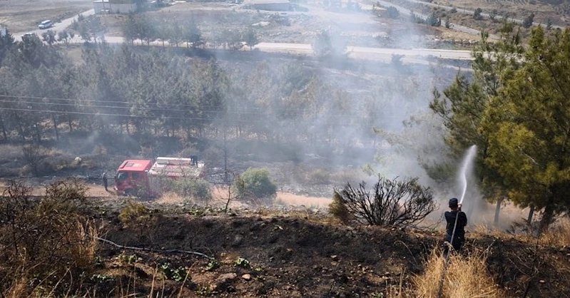 İskenderun’da ağaçlık alan yangını
