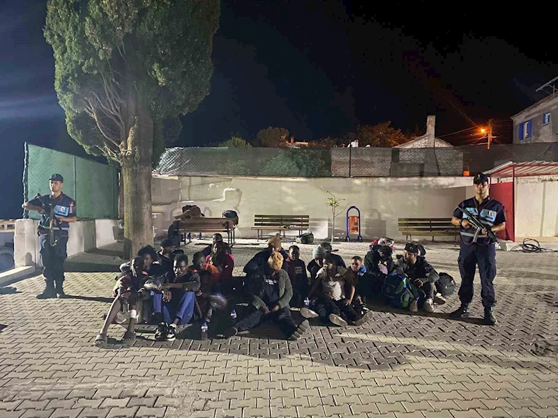 Zeytinlikteki 32 düzensiz göçmen yakalandı
