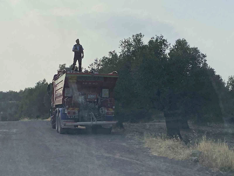 Ayvalık’ta zeytinlik alanda çıkan yangın kontrol altına alındı
