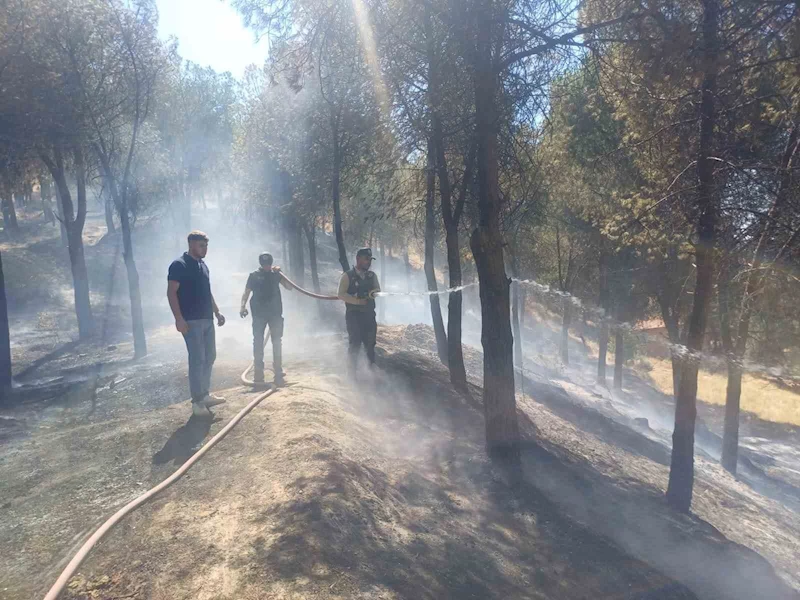 Manisa’daki yangın hızlı müdahale ile söndürüldü
