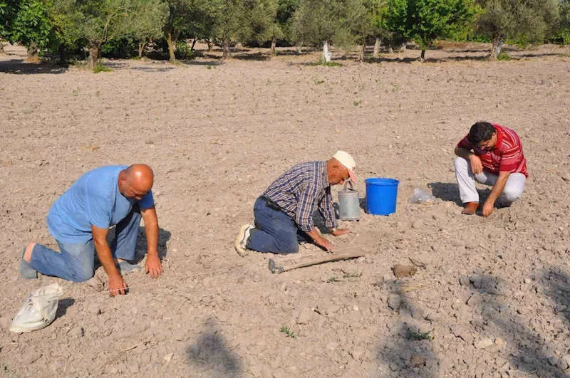 Kırkağaç Kavunu’nda tohumlar toprakla buluştu
