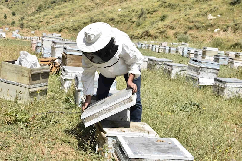 Kuraklık Bitlisli arıcıları kara kara düşündürüyor
