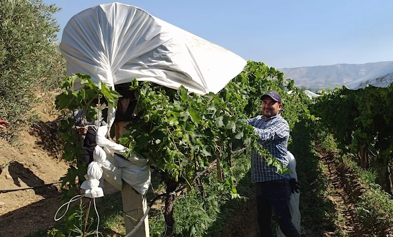 Sarıgöl’de örtü ekipleri işleri sıraya koydu
