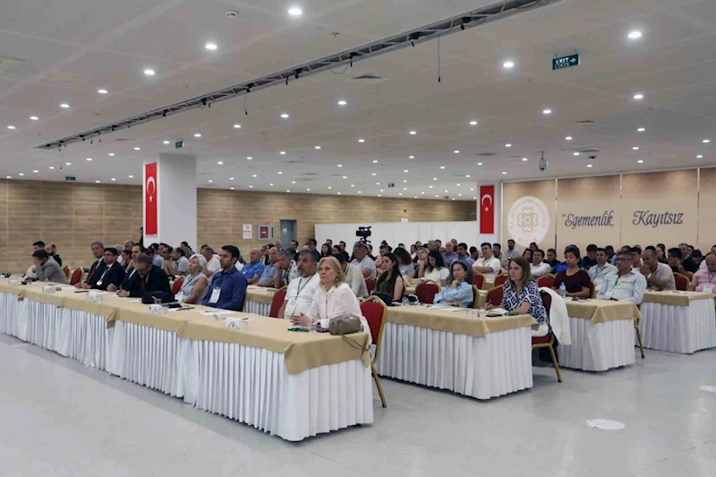 Muğla’da şehir merkezlerine kadar inen yaban domuzlarına çare aranıyor
