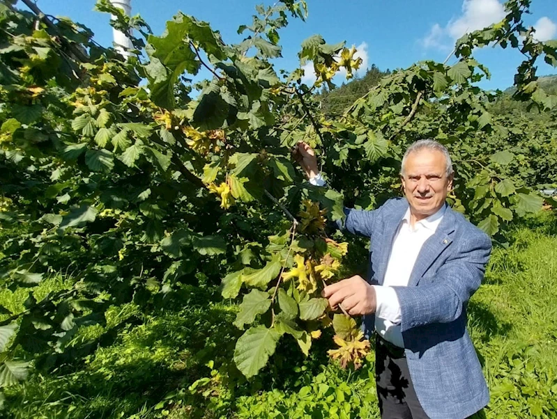Trabzon Ticaret Borsası Başkanı Ergan:
