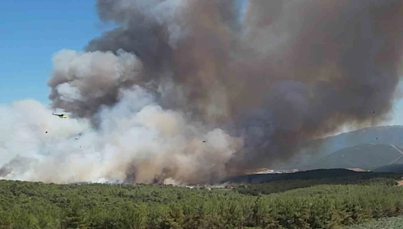 Bornova’daki yangın büyüdü; 8 uçak ve 17 helikopterle müdahale sürüyor

