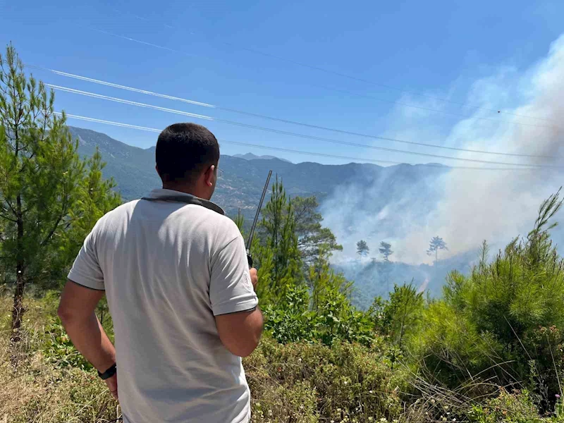 Alanya’daki yangınını kontrol altına alınması çalışmaları devam ediyor
