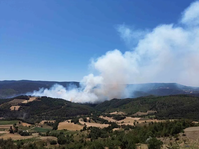 Sakarya’daki orman yangını havadan görüntülendi
