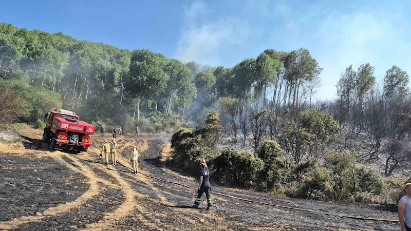 Şarköy’de tarlada çıkan yangın makilik alana sıçradı
