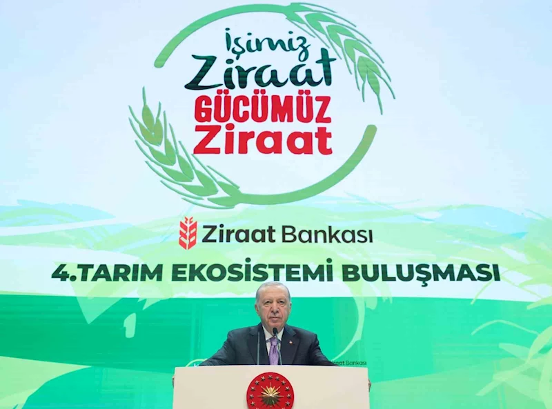 Cumhurbaşkanı Erdoğan’dan muhalefete eleştiri: 