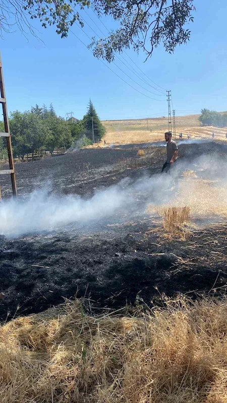 Elazığ’da yangın: Ekili alan küle döndü
