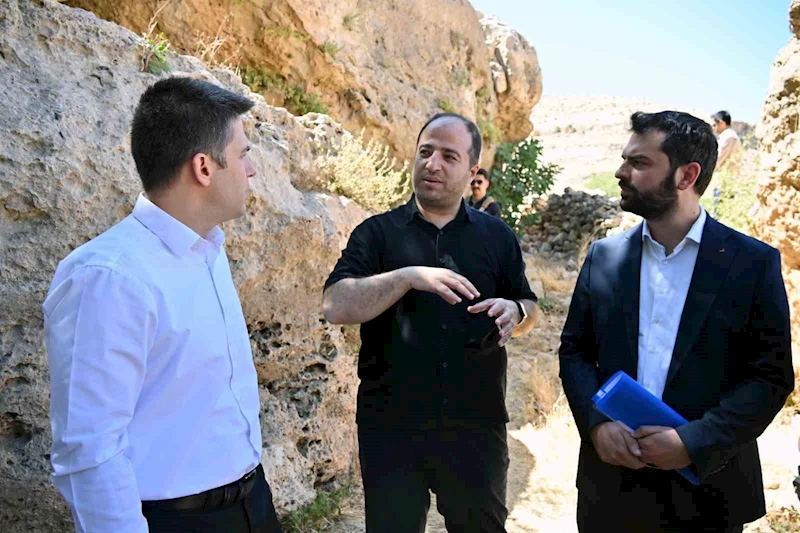 Derik Kaymakamı Bayraklı, zeytinliklerde yürütülen sulama çalışmalarını inceledi
