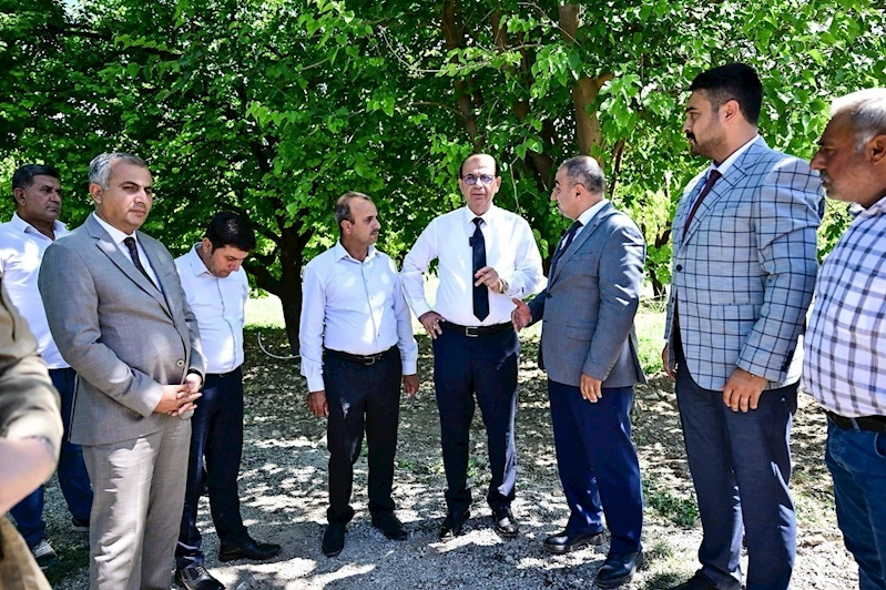 Başkan Geçit: 
