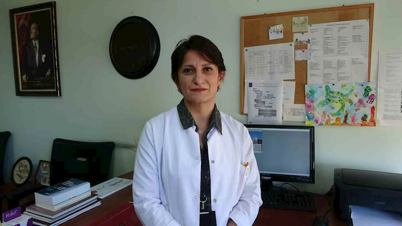 Dr. Öğretim Üyesi Olcay Ayçiçek: 