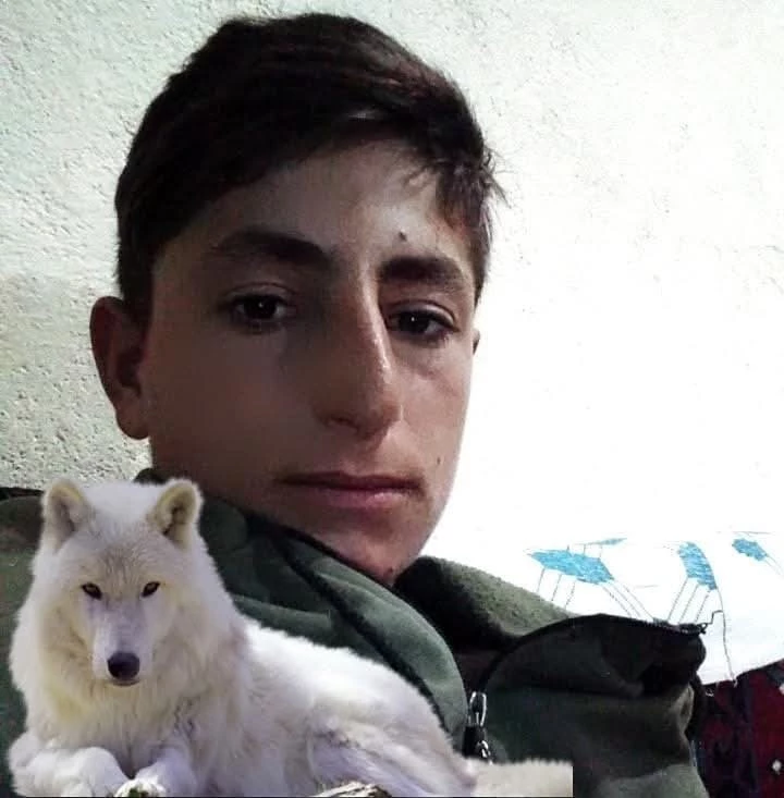 Muş’ta iş kazası: 20 yaşındaki genç hayatını kaybetti
