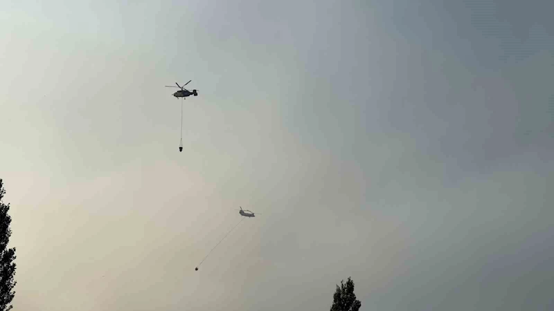 Manisa’nın Ahmetli ilçesindeki orman yangınına müdahale sürüyor
