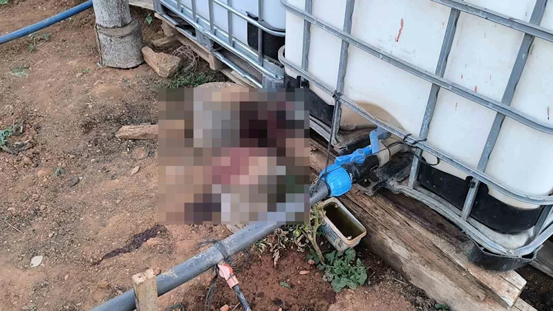 Kırşehir’de bahçe sulama kavgası kanlı bitti: Komşusunu öldürüp, eşini yaraladı

