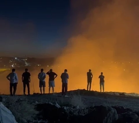 Ormanlık alanda çıkan yangın korkuttu
